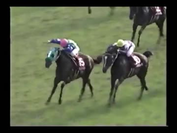 【ベストバウト】スペちゃんＶＳキンヘお嬢【京都新聞杯1998】