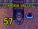 頑張る社会人のための【STARDEW VALLEY】プレイ動画57回