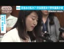 IR実施法案が可決　付帯決議巡り野党議員が涙
