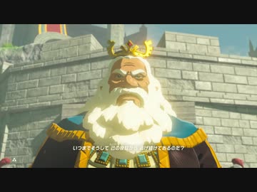 厄災かけますね.botw11