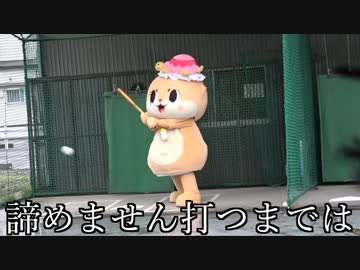 バッティングセンターでとんでもない記録を出しましたっ☆