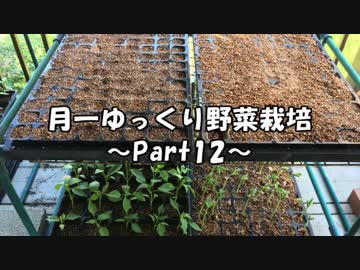 月一 ゆっくり野菜栽培 Part12