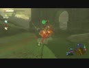 依頼を受けて、イーガ団に弓矢をブチ込みまくってみた