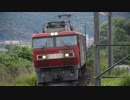 東北本線　西濃運輸 一部貸切貨物列車　カンガルーライナーSS60を牽引するJR貨物EH500-34