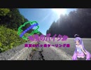 【ウナちゃん車載】雨男のバイク旅【八ヶ岳ツーリング編】