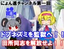 にょん進チャンネル第一回！ドブネズミを監獄へ！田所同志を解放せよ！