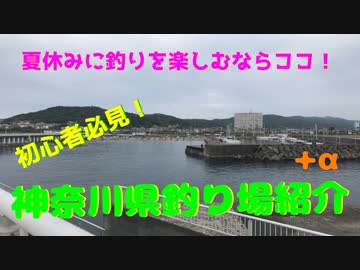 夏ッ！夏休みだ　魚釣りだ！暑い夏も魚釣り「神奈川県釣り場紹介」+α　2018年夏版
