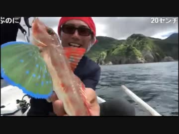 7.21  井上の伊豆で海釣り 午後