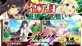【シノビマスター】忍転身ガチャ！斑鳩ちゃん運極への道