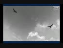 消えぬ炎の快男児_21(第11節-4～5)