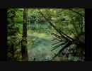 がつらごうち 『森林のジオラマ』 オリジナル曲