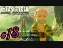 新作ゼルダを風タクしかやったことないうp主がプレイしてしまった part18