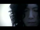 The Dilemma of Hedgehog PV「Butterfly Effect」