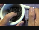 【結月ゆかり・KAITO】木の実ですって【トークロイド】