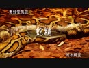ゆっくり青空文庫 青蛙堂鬼談5 【蛇精】
