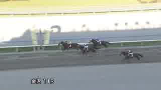 2018年7月15日金沢競馬11R 金沢Ａ・Ｇ・Ｉ（B級東海・北陸交流） キホンハシコ