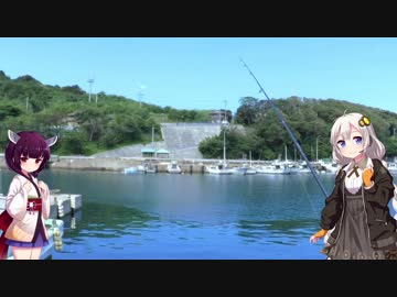 修行という名の中四国釣行～その1