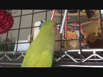 風いらず