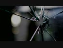 narumi_Galvanize