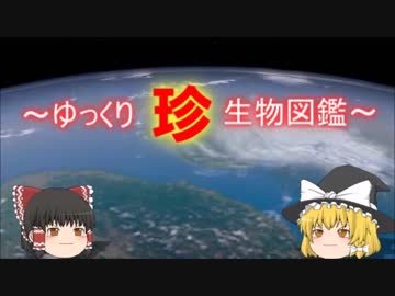 ～ゆっくり　珍　生物図鑑～　新・68回