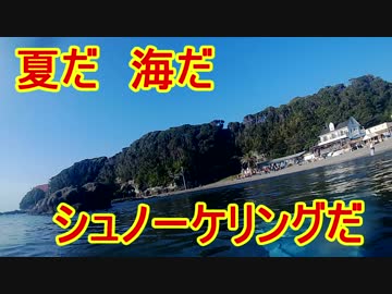 049　夏だ！　海だ！　シュノーケリングだ！　in油壷