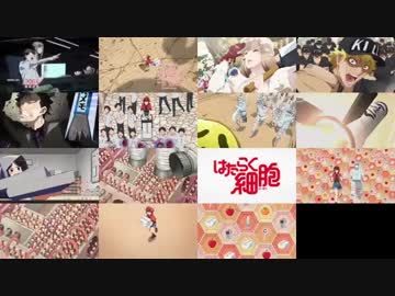 「はたらく細胞」OPを３７兆個まで細胞分裂させてみた