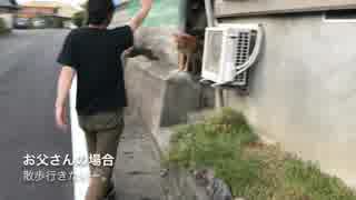 家族が帰ってきた時の犬の反応の違い