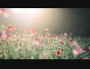 【NNI】Hello, new me. 【オリジナル】