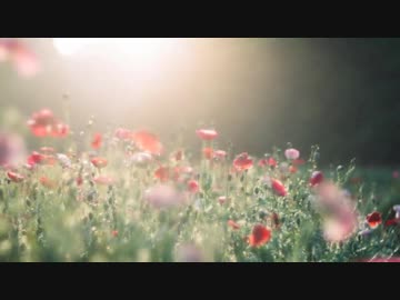 【NNI】Hello, new me. 【オリジナル】