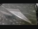PCくんの状態【2018/07/15 】