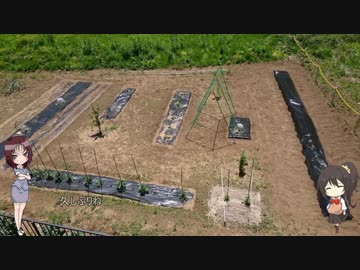 陰キャの【家庭菜園】その2