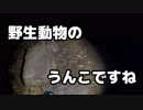 いつまでも、どこまでも僕達は旅をする。 #06「過去と現在」