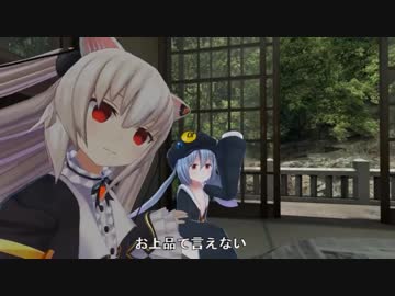 ご認識でママに敵わない新生のらきゃっと