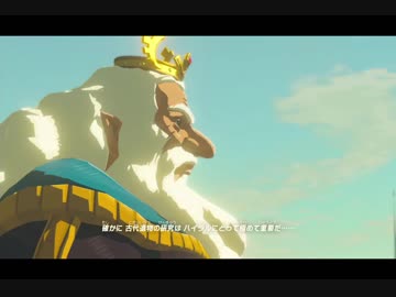（１１４）はじめてのゼルダの伝説ブレスオブザワイルド