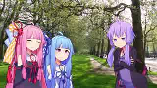 琴葉姉妹と結月ゆかりのコピペ（改変）ネタ：１５