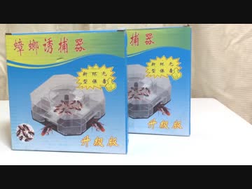 【ゴキブリホイホイ】謎の中国製ゴキブリ捕獲器の性能を検証してみた！