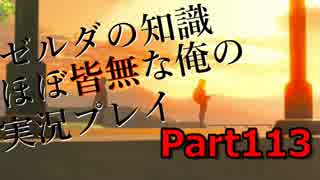 【ゼルダの伝説ブレスオブザワイルド】ゼルダの伝説の知識ほぼ皆無な俺の実況プレイpart113【初見プレイ】