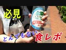 この食レポを超えるもはない　in TOKYO vol3