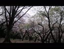 オリジナル曲／奥つ城の客人 (ProTools版)