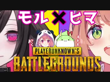 【PUBG女子】ゲーマーズコラボ with　すもも先生【まさかのドン勝！？】