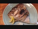 【夢ねこ世界を喰らう＃60】愛してやまない神田居酒屋めぐりイワシやさんからやきとり経由で秋葉で食べる