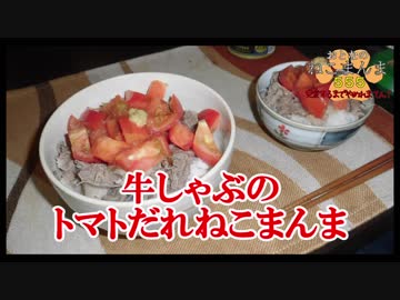 【おとなのねこまんま555】Part216_牛しゃぶのトマトだれねこまんま