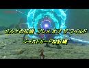 BotW ジャストガード検証動画 （英傑の十戒 第4弾 剣の試練 極位編 part 2.5）