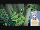 【樋口楓イメージソング】ROUND-DA ! (ラウンダ！)