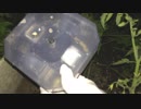 庭に置いたゴキブリ捕獲罠はどうなった？