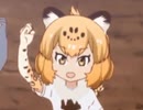 Bra(ｳｨｰ)n Jaguar