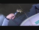 ゆるバス凹２　前編