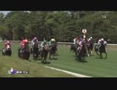 2018年　第18回 アイビスサマーダッシュ（GⅢ）【ダイメイプリンセス】