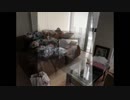 Central London Removal Company - MTC Removals Company