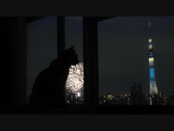 【モアクリ】 ネコ花火大会